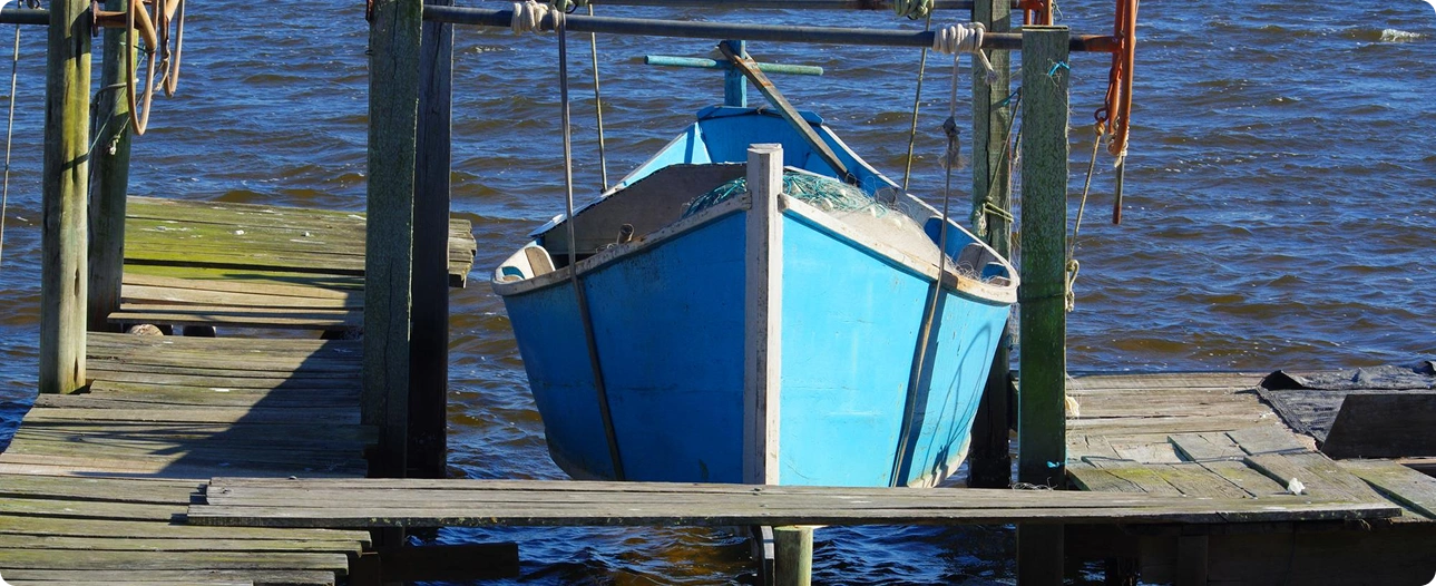 blog-detail-img1